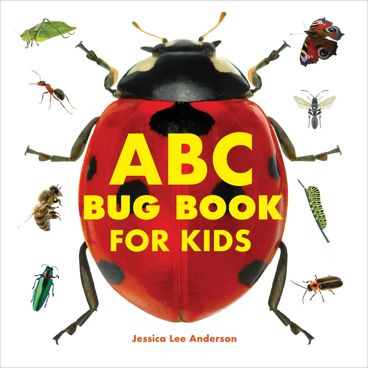 ABC Bug Book