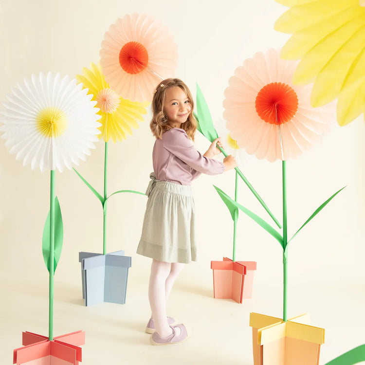 Meri Meri party collection
