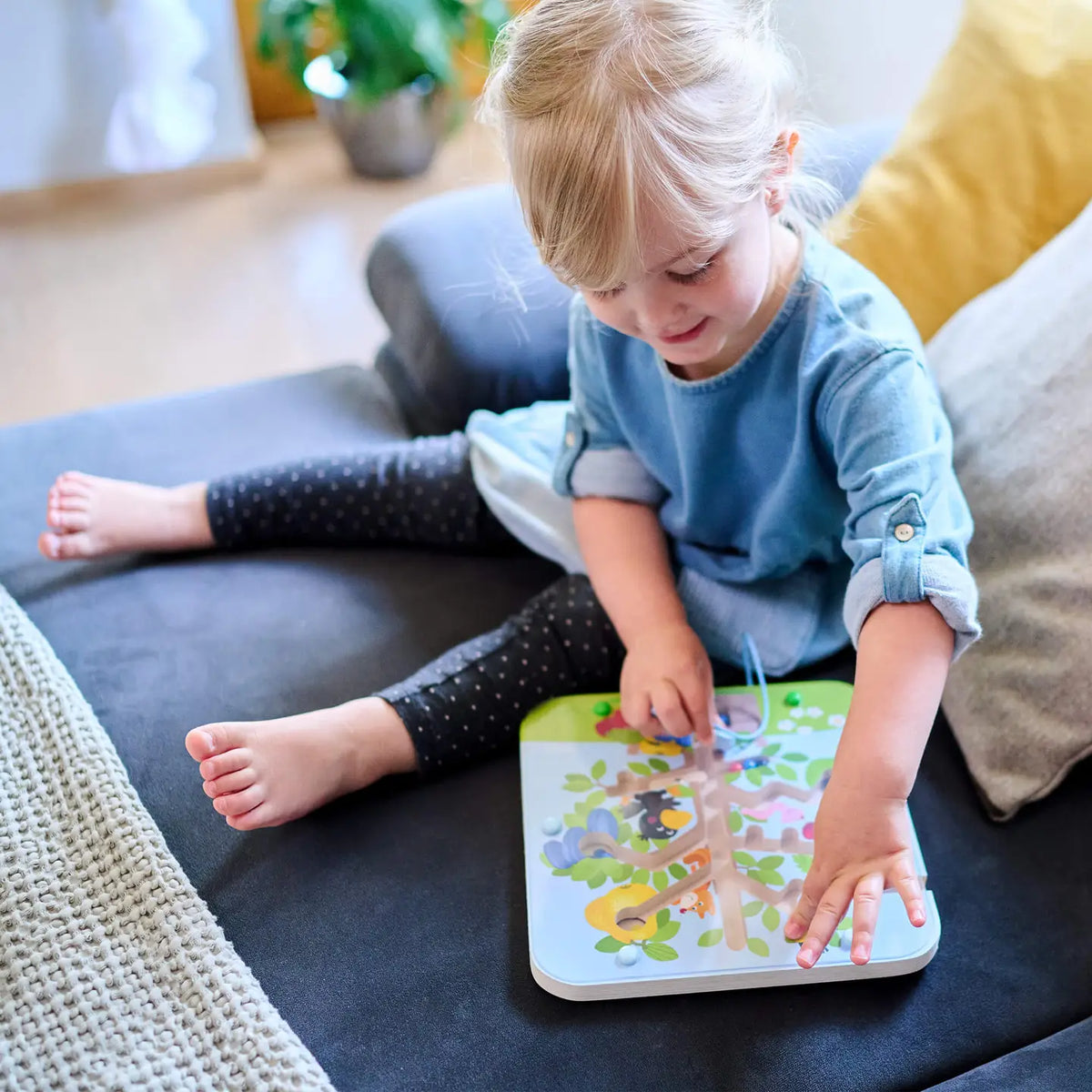 Orchard Maze Magnetic Sorting Game