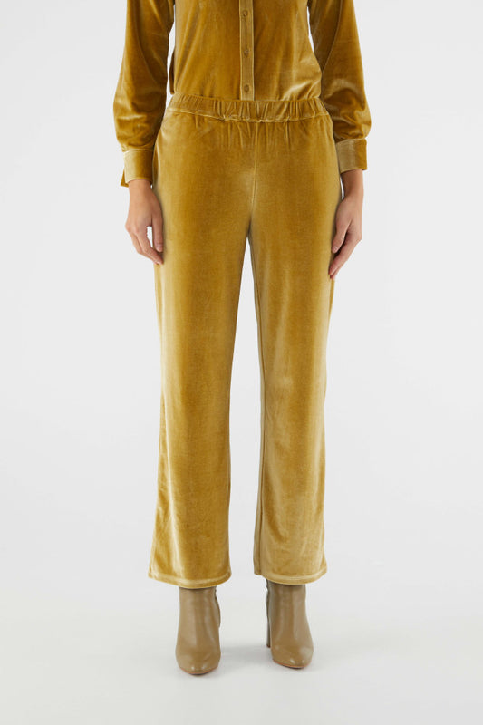 Velvet Stretch Pants - Gold