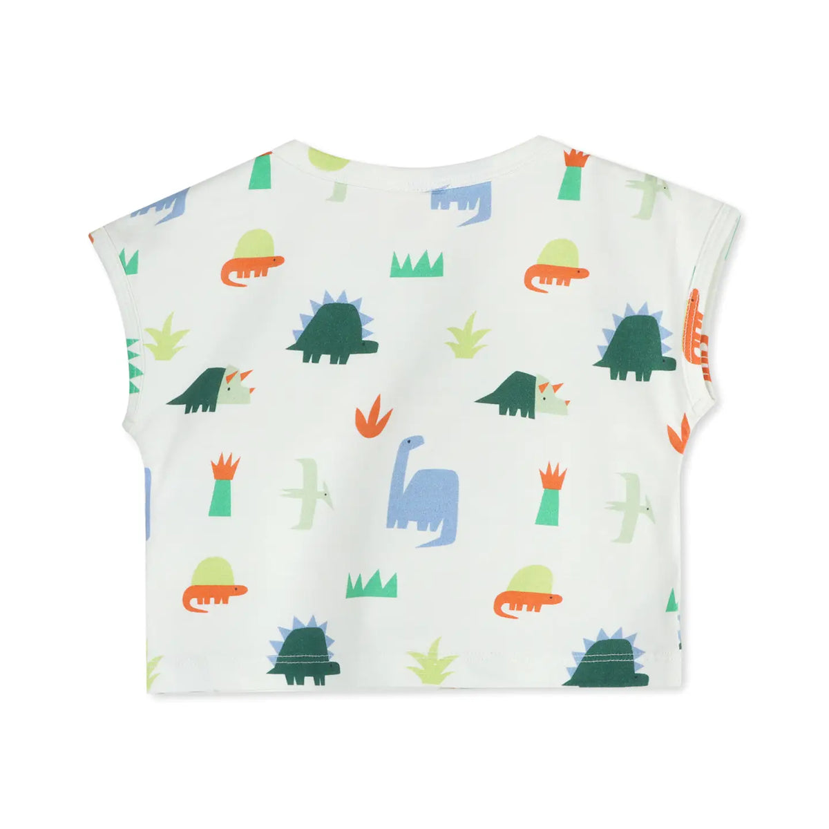 Dino Tee & Shorts Set