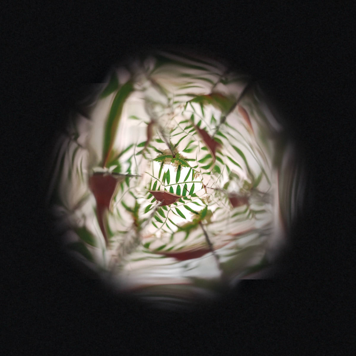 Flower Kaleidoscope