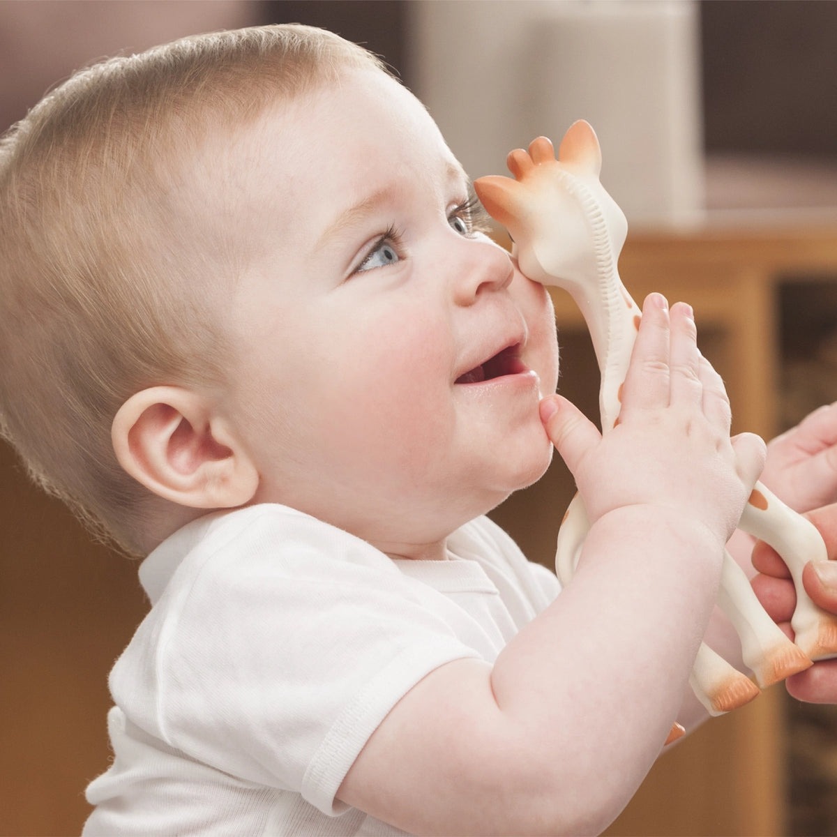 Sophie the Giraffe Baby Teether - Natural Rubber Teething Toy